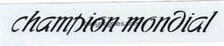 Gazelle Champion Mondial Top Tube Decal - H Lloyd Cycles