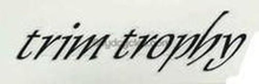 Gazelle Champion Trim Trophy Top Tube Decal - H Lloyd Cycles