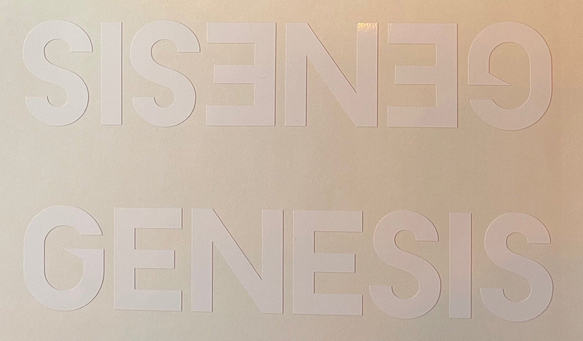 Genesis double downtube decal - H Lloyd Cycles