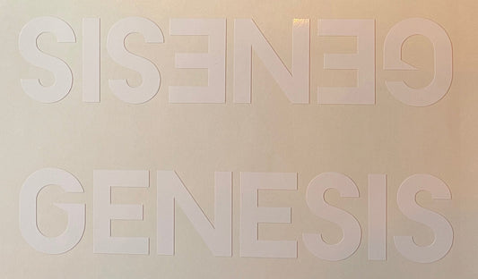 Genesis double downtube decal - H Lloyd Cycles