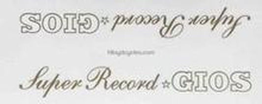 GIOS. Gios "torino" top tube detail. - H Lloyd Cycles