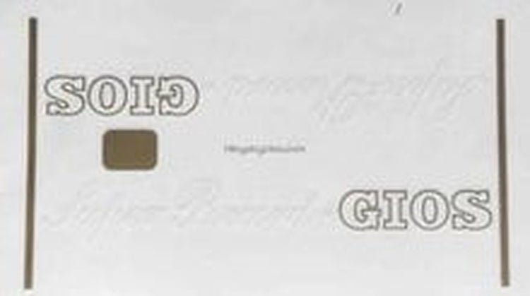 GIOS. Gios "torino" top tube detail. - H Lloyd Cycles