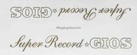 GIOS. Gios "torino" top tube detail.