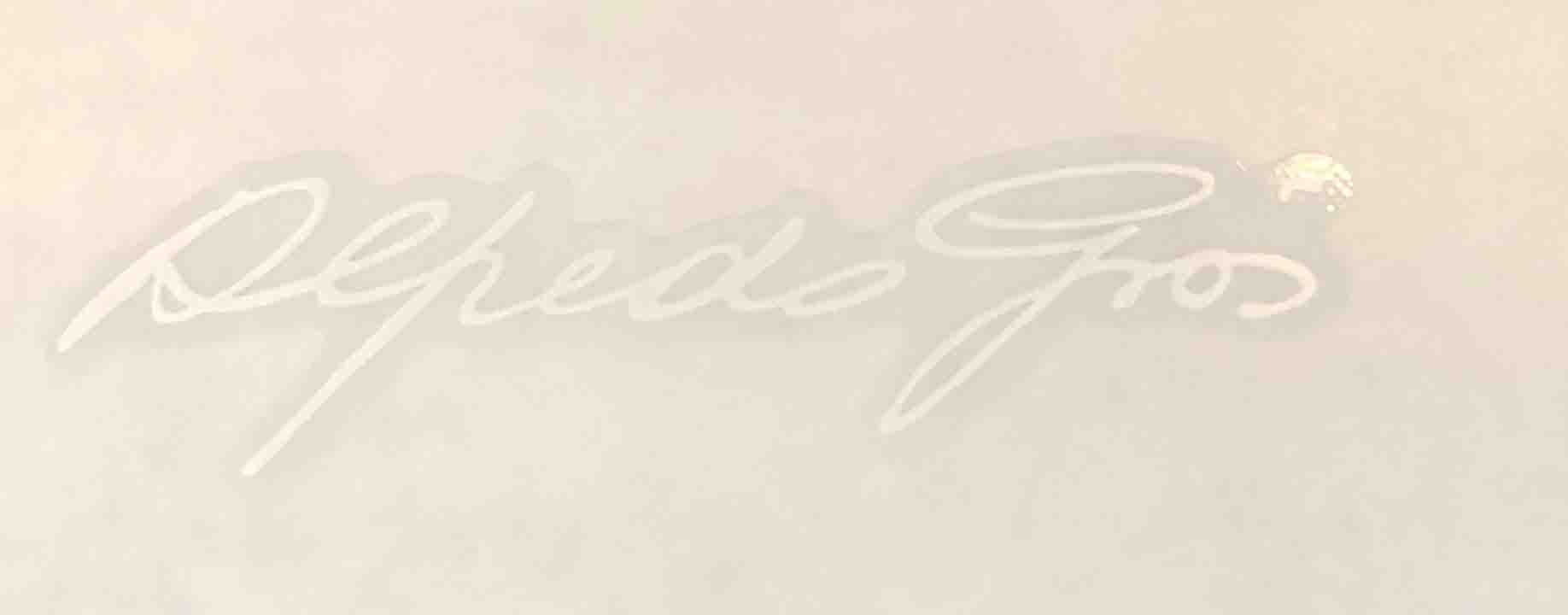 Gios Signature - H Lloyd Cycles