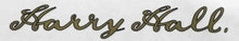 HARRY HALL Script Downtube decal.