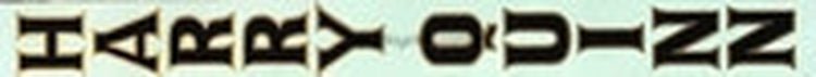HARRY QUINN seat tube decal - H Lloyd Cycles