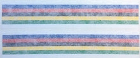 HOLDSWORTH "PROFESSIONAL" seat tube world champion bands. - H Lloyd Cycles