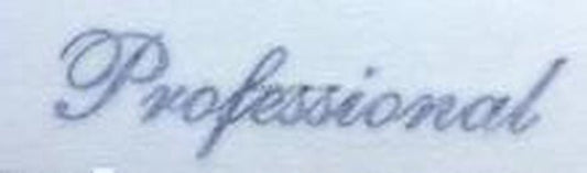 HOLDSWORTH "PROFESSIONAL" top tube decal. - H Lloyd Cycles