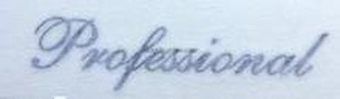 HOLDSWORTH "PROFESSIONAL" top tube decal.