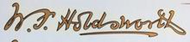 HOLDSWORTH. Script W. F. Holdsworth D/T. - H Lloyd Cycles