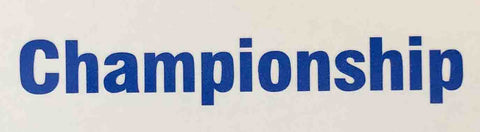 Holdsworth Championship top tube decals