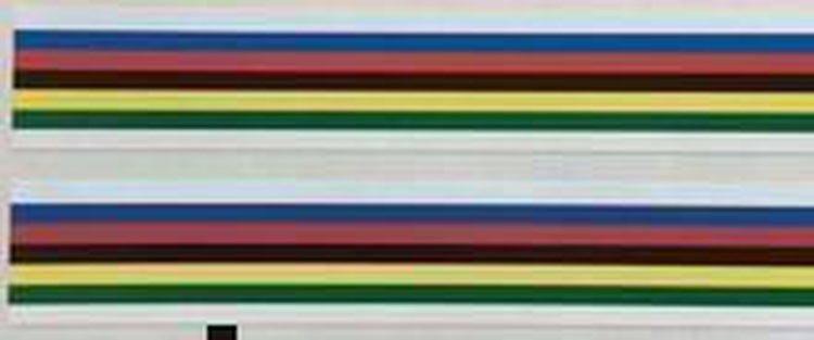 Jack Taylor world champ bands - H Lloyd Cycles