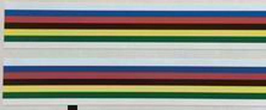 Jack Taylor world champ bands - H Lloyd Cycles