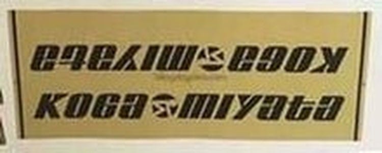 Koga Miyata Downtube Decals - H Lloyd Cycles