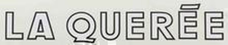 La Queree Downtube decal - H Lloyd Cycles