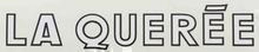 La Queree Downtube decal - H Lloyd Cycles