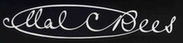 MAL REES FORK DECALS - H Lloyd Cycles