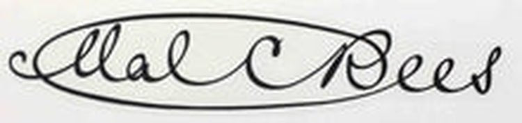 MAL REES FORK DECALS - H Lloyd Cycles