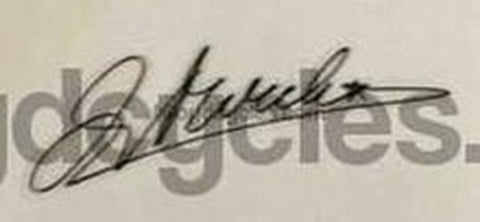 MERCKX. Eddie Merckx top tube signature detail.