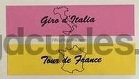 MERCKX. Eddy Merckx "Molteni" style seat decals.