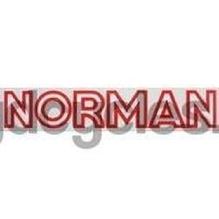 NORMAN downtube. - H Lloyd Cycles