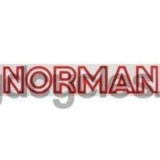 NORMAN downtube. - H Lloyd Cycles