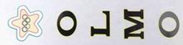 OLMO seat tube decal. - H Lloyd Cycles
