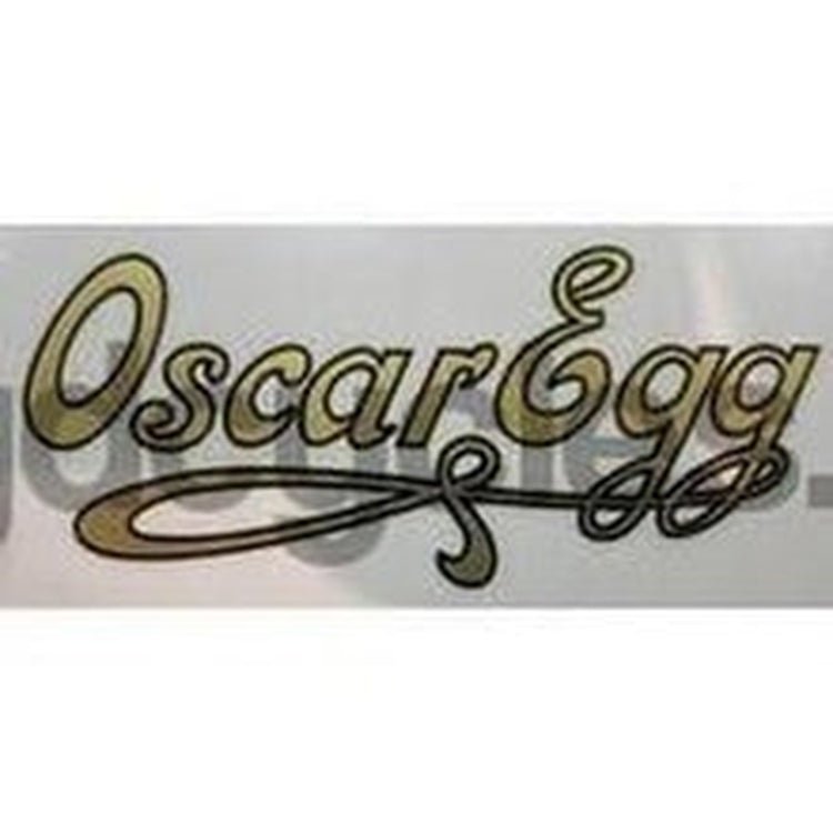 OSCAR EGG downtube decal. - H Lloyd Cycles