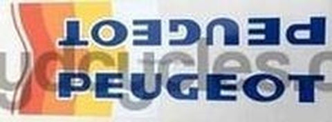 Peugeot ANC Halford Downtube