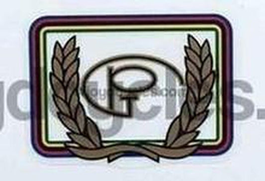 PINARELLO detail. - H Lloyd Cycles