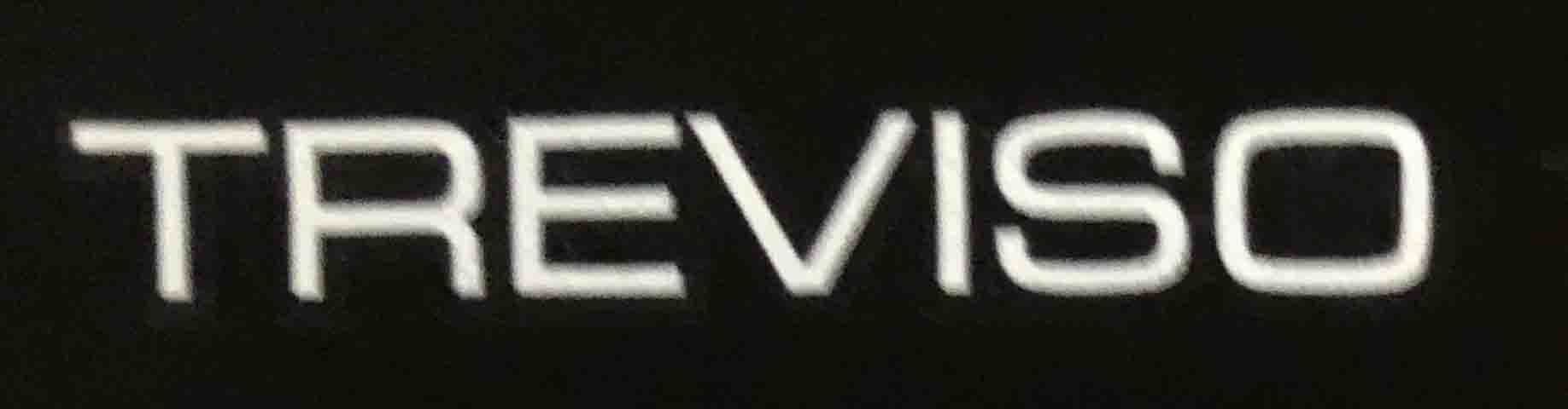 Pinarello Treviso Top Tube decal - H Lloyd Cycles