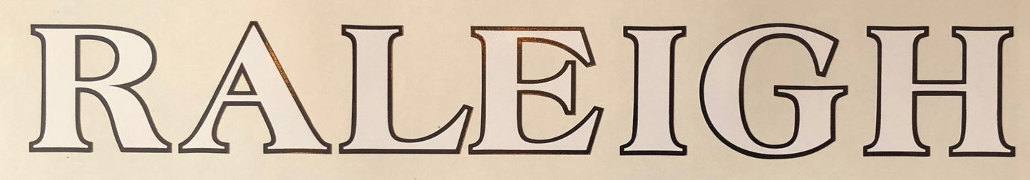 Raleigh 80's Downtube - H Lloyd Cycles