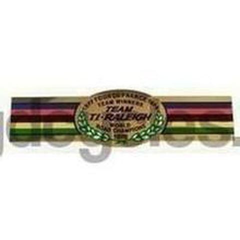 RALEIGH detail for top of downtube.