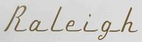 RALEIGH downtube decal.