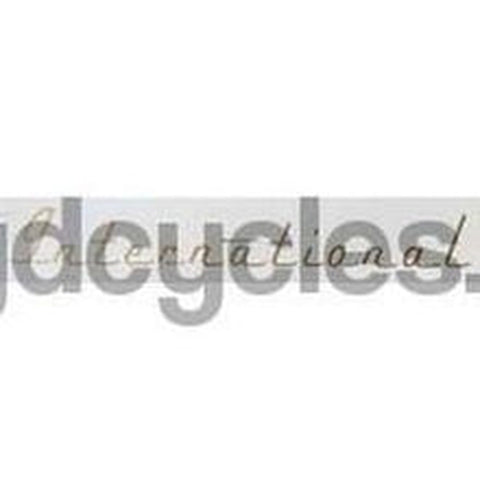 RALEIGH "International" toptube decal.