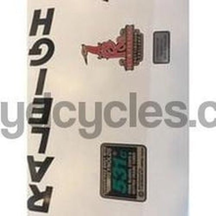 Raleigh Panasonic Decals Including Reynolds 531 - H Lloyd Cycles