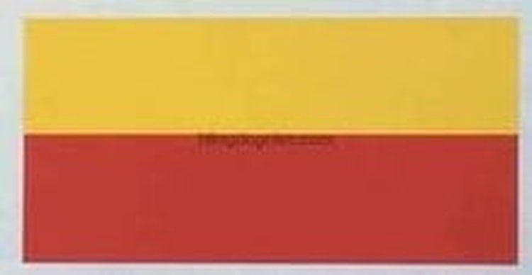 Raleigh "Panasonic" Top Tube Decal - H Lloyd Cycles