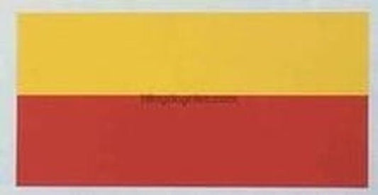 Raleigh "Panasonic" Top Tube Decal - H Lloyd Cycles