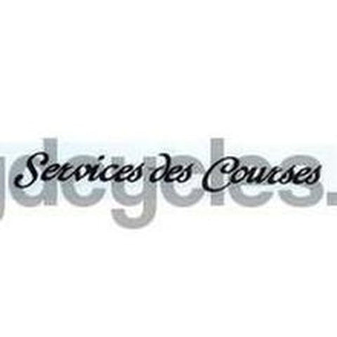 Raleigh Services des Courses TT decal