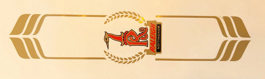 Raleigh superb seat tube panel - H Lloyd Cycles