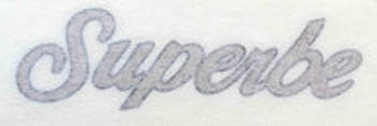 RALEIGH "Superbe" chaincase transfer. - H Lloyd Cycles