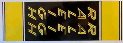 Raleigh "Team Professional" Seat Tube Panel - H Lloyd Cycles