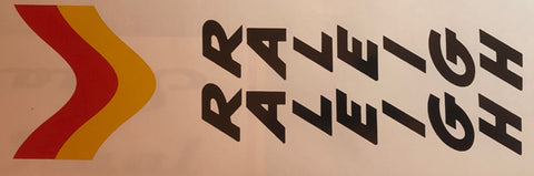 Raleigh "Panasonic" Seat tube decal.