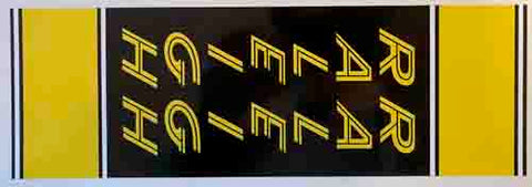 Raleigh "Team Professional" Seat Tube Panel