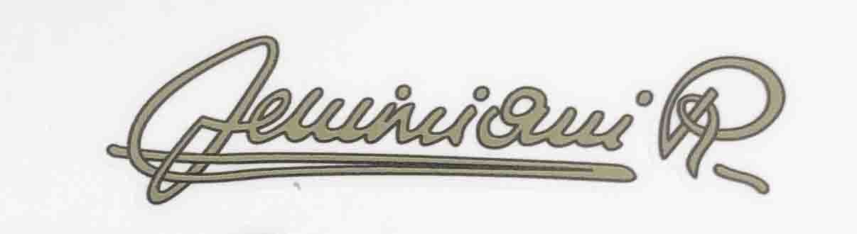 RAPHAEL GEMINIANI signature - H Lloyd Cycles