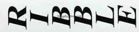 RIBBLE fork decal