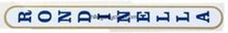 RONDINELLA seat tube decal. - H Lloyd Cycles