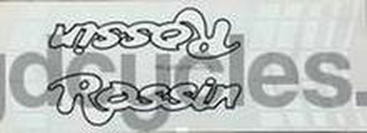 Rossin Downtube Panel NOS - H Lloyd Cycles