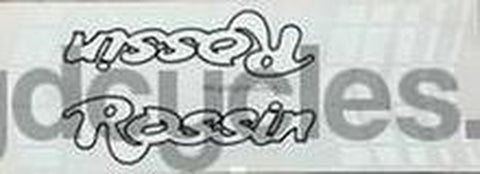 Rossin Downtube Panel NOS