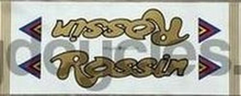 Rossin Downtube Panel NOS